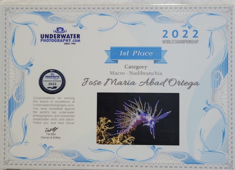 Macro · Nudibranquios · Campeonato 2021